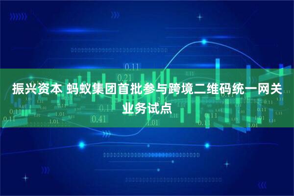 振兴资本 蚂蚁集团首批参与跨境二维码统一网关业务试点