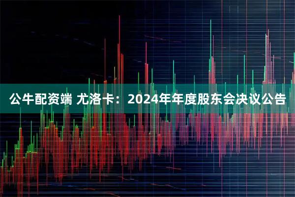 公牛配资端 尤洛卡：2024年年度股东会决议公告