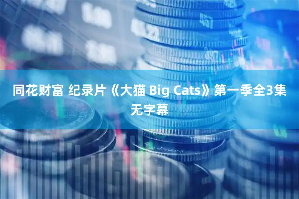 同花财富 纪录片《大猫 Big Cats》第一季全3集无字幕