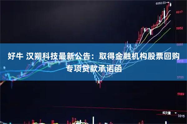 好牛 汉朔科技最新公告：取得金融机构股票回购专项贷款承诺函